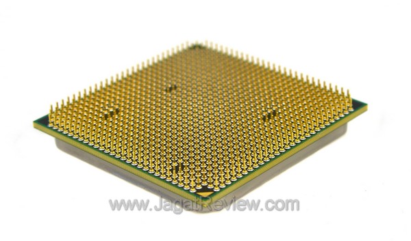 phenom_975BE_pins