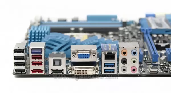 Board_Backplate