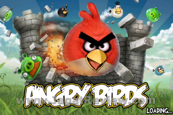 Angry Birds IMG 0110