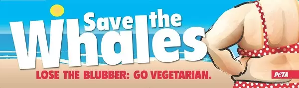 PETA-Save-the-Whales.jpg