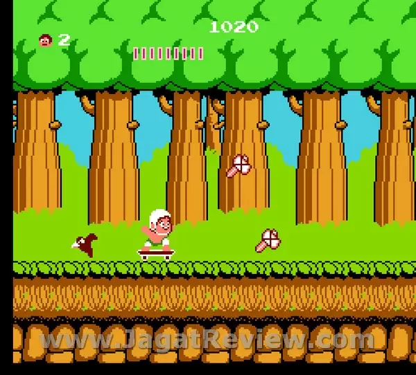 Adventure Island (9)