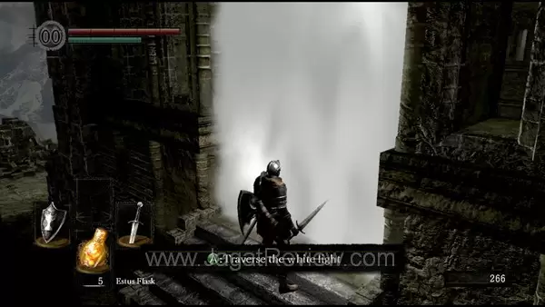 dark_souls_jagatreview_004