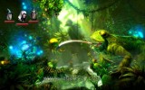 Trine 2 (71)
