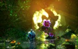 Trine 2 (75)