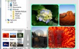 photoscape - page
