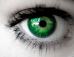eye