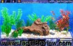 Main Tank