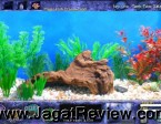Main Tank