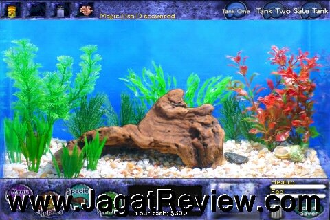 Review Android App Fish Tycoon Simulasi Memelihara Ikan Hias