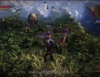 Witcher28