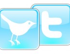 twitter-bird