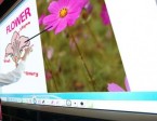 LG whiteboard