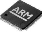 arm