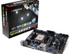 Mobo-Biostar