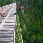 Trestle