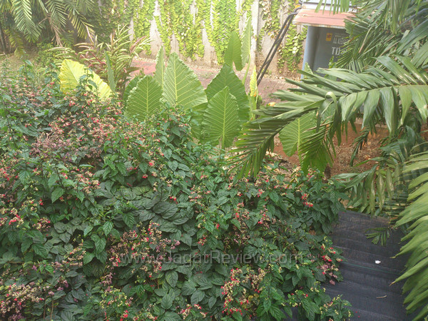 sony xperia acro s outdoor back cam