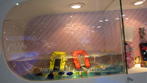 IMG 0532