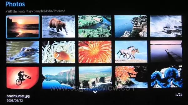 WD Elements Play browser