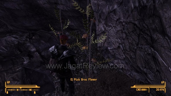 fallout new vegas 008