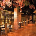 olive tree nk 1