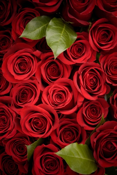 Valentines Day at Yoshi Izakaya