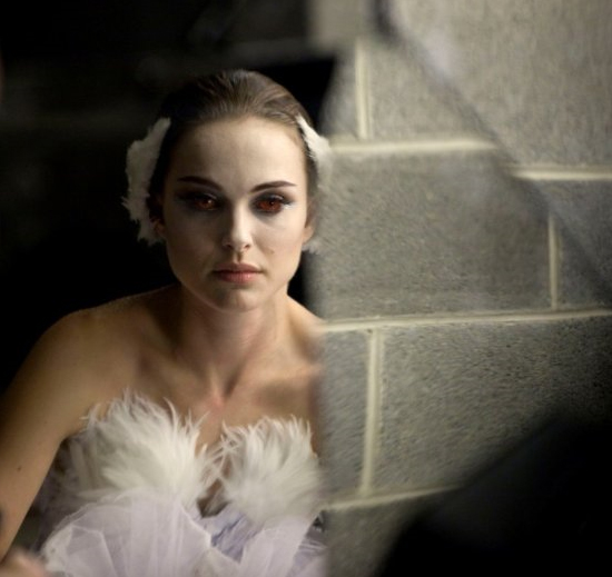 black-swan black swan