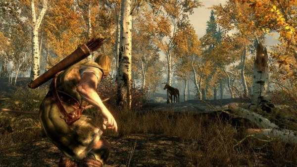 The Elder Scrolls 5: Skyrim elder scrolls skyrim gameplay8