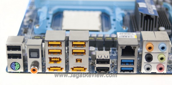 Backplate8
