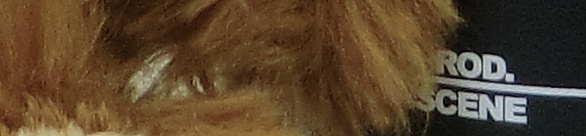 CIMG0767 EX-H20G ISO 80 CIMG0767 EX H20G ISO 80