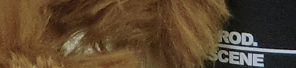 CIMG0768 EX-H20G ISO 100 CIMG0768 EX H20G ISO 100