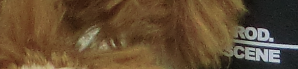 CIMG0769 EX-H20G ISO 200 CIMG0769 EX H20G ISO 200