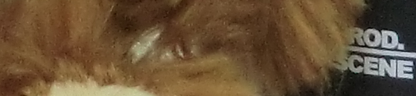 CIMG0770 EX-H20G ISO 400 CIMG0770 EX H20G ISO 400