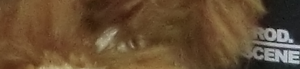 CIMG0771 EX-H20G ISO 800 CIMG0771 EX H20G ISO 800