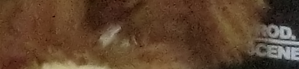 CIMG0772 EX-H20G ISO 1600 CIMG0772 EX H20G ISO 1600