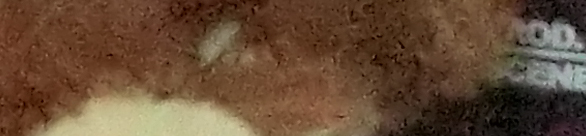 CIMG0773 EX-H20G ISO 3200 CIMG0773 EX H20G ISO 3200