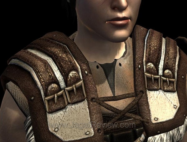 dragon age 2 highrespack comparison 008