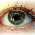 eye eye