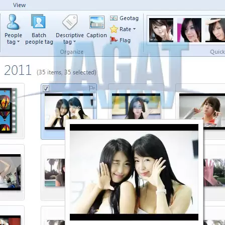 windows live photo tagging system