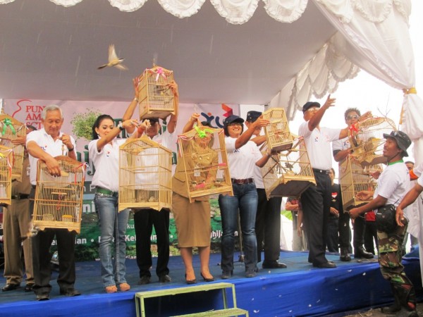 Hijau 2 Hijau 2