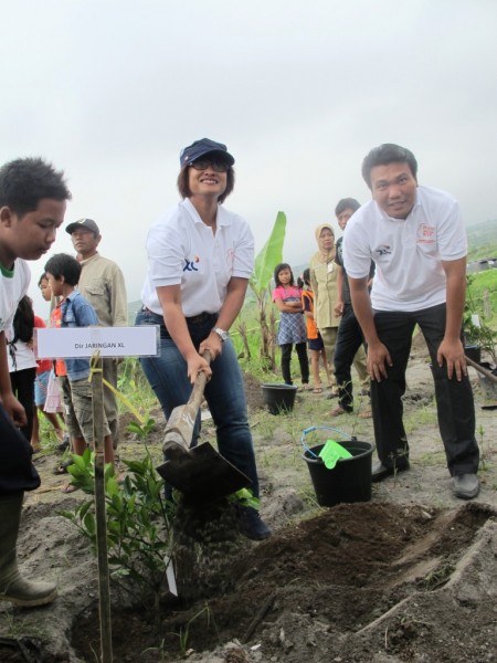 Hijau 3 Hijau 3