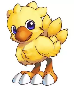 chocobo