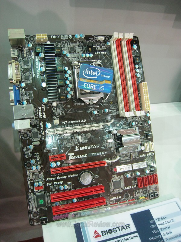 Biostar13