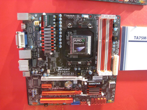 Biostar16