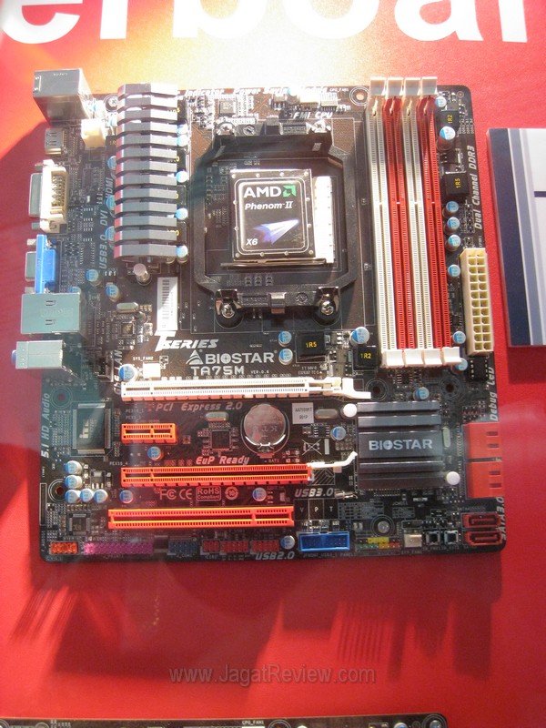 Biostar20