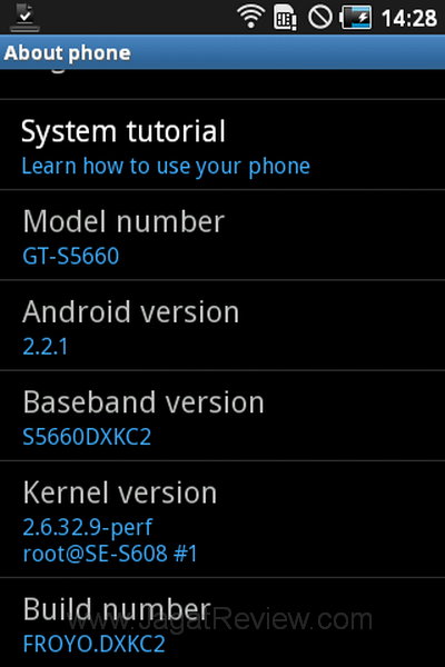 Samsung Galaxy Gio About