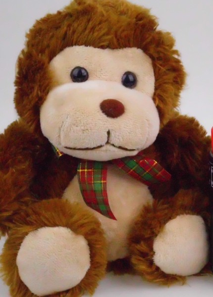 IMG_0007 DC E1460 ISO 800-2 IMG 0007 DC E1460 ISO 800 2