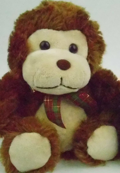 IMG_0009 DC E1460 ISO 3200-2 IMG 0009 DC E1460 ISO 3200 2