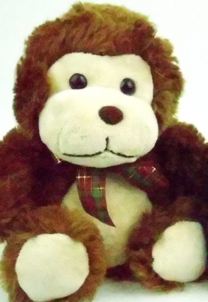 IMG_0011 DC E1460 ISO 6400-2 IMG 0011 DC E1460 ISO 6400 2