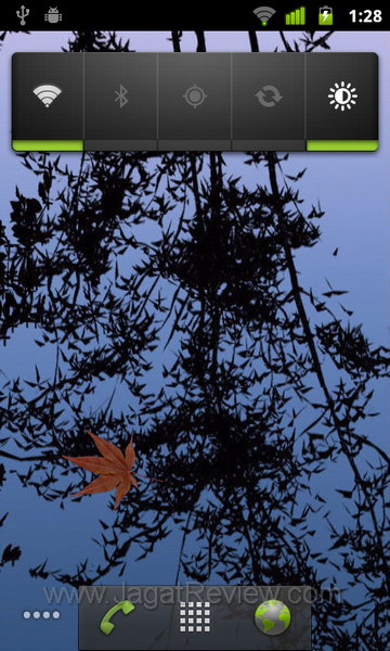 Nexus S HomeScreen kelima1