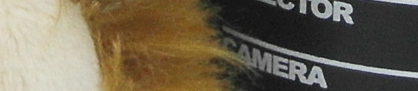 SAM_0767 ST700 ISO 100 SAM 0767 ST700 ISO 100